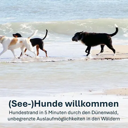 Paradies-ambiente - Strandnah, Sauna, Kamin, Hundefreundlich * Zinnowitz