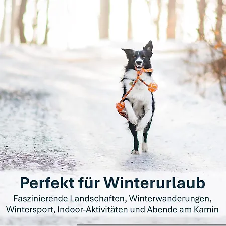 Paradies-ambiente - Strandnah, Sauna, Kamin, Hundefreundlich