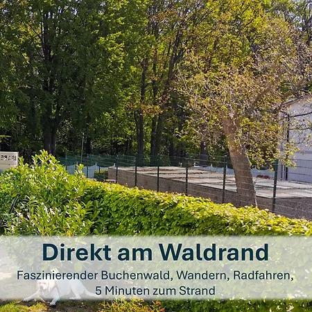 Apartment Paradies-ambiente - Strandnah, Sauna, Kamin, Hundefreundlich Zinnowitz